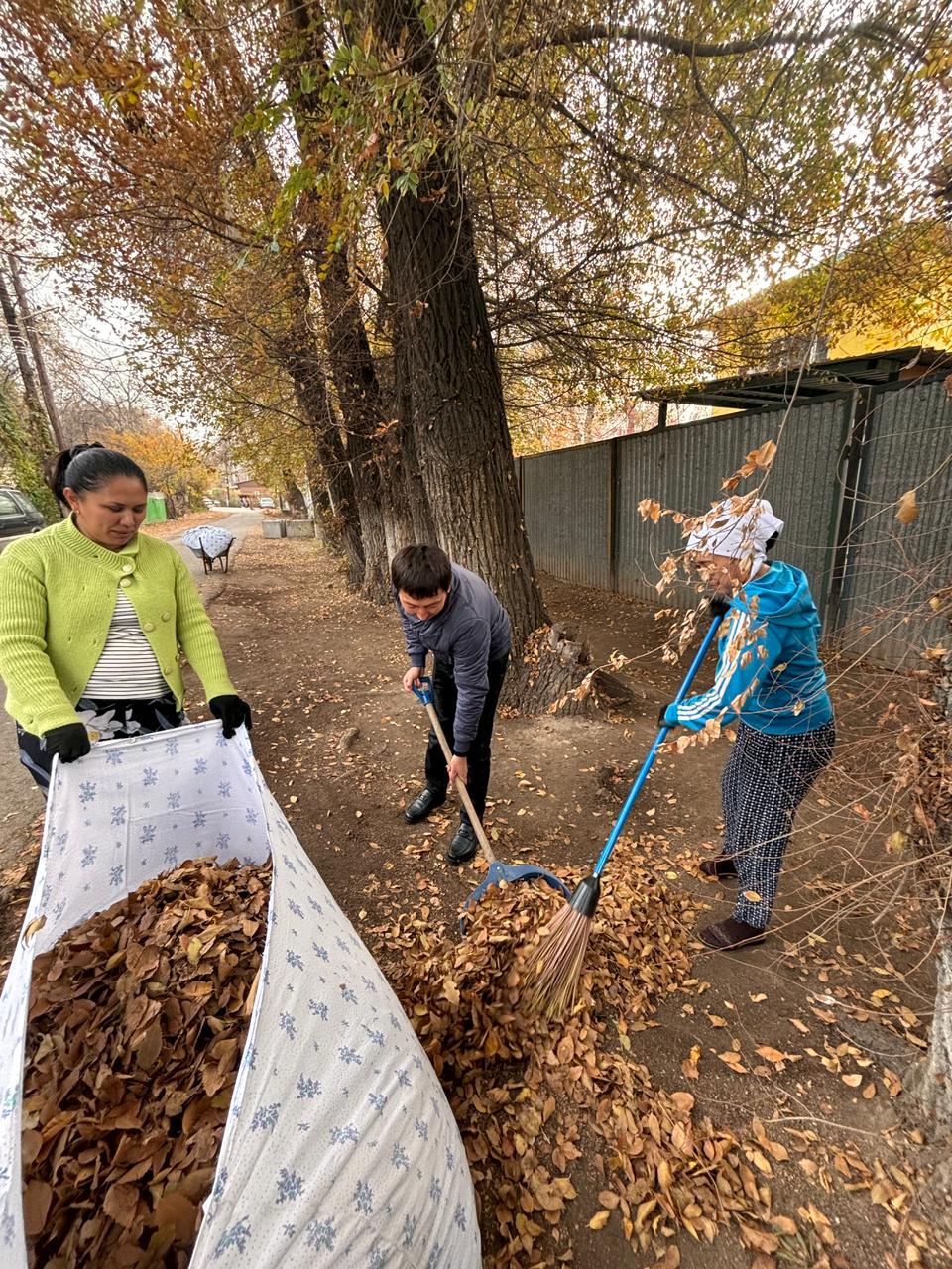 Таза бейсенбілік