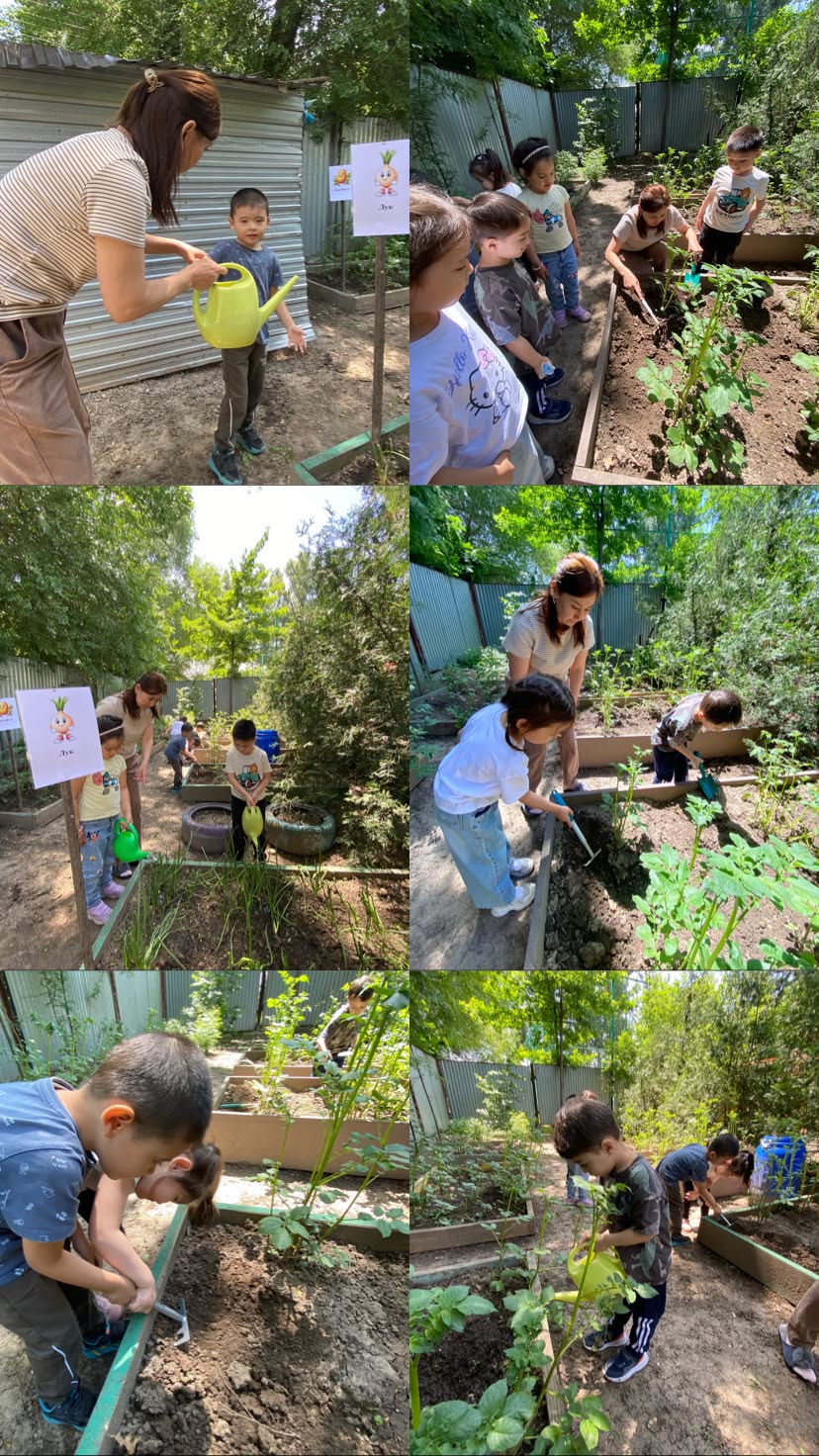 🌿 Кішкентай бағбандар еңбегі 🌿